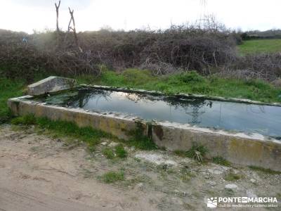 Parque Natural Arribes de Duero;viajes de fin de año grupos senderismo viajes de naturaleza